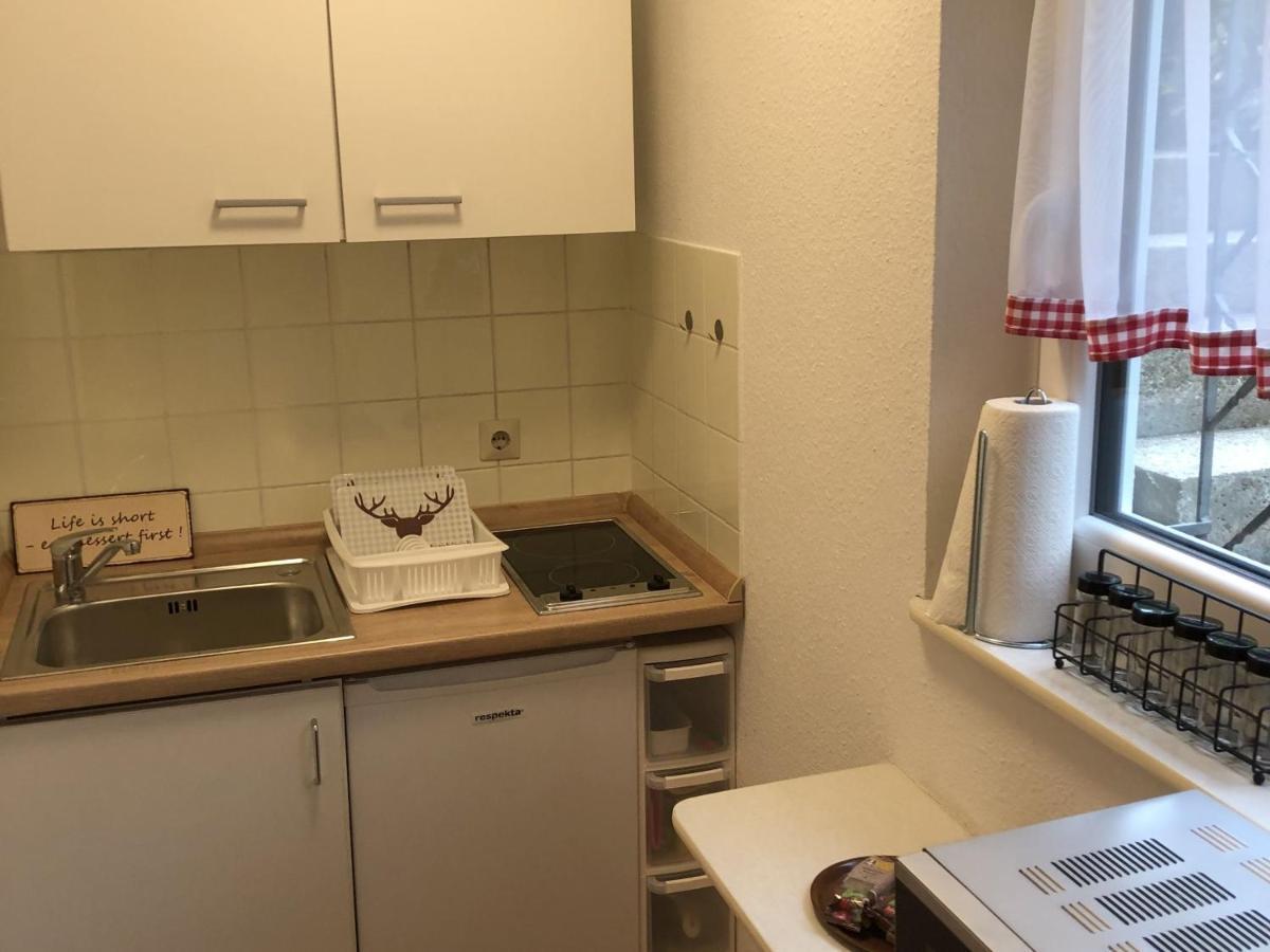 Schwarzwaldhirsch Apartment Unterkirnach Exterior foto